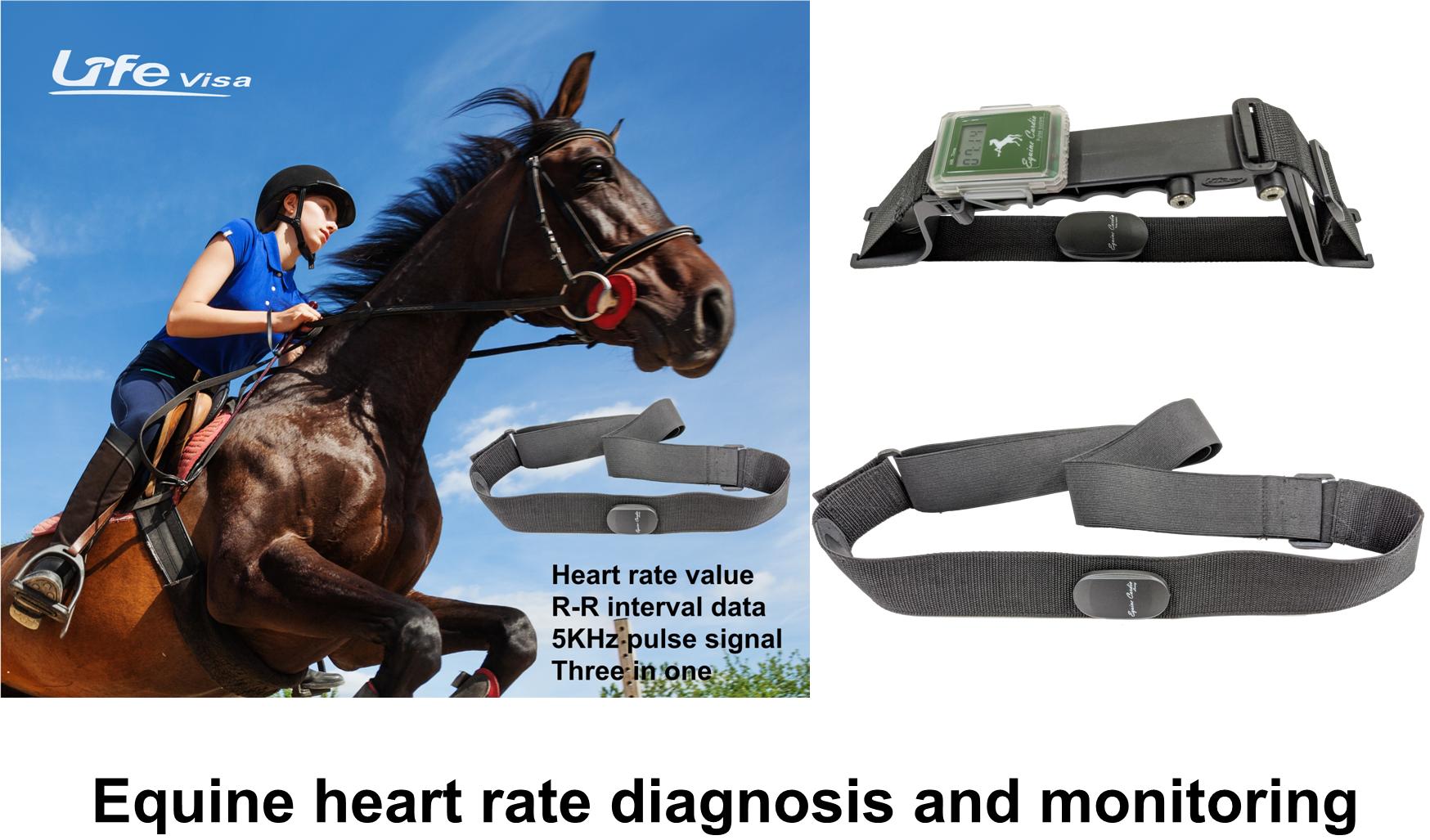 Equine heart rate healthcheck and monitor